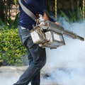 The Importance of Regular Pest Control Services: An Expert's Perspective