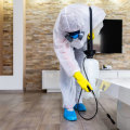 The Hidden Costs of DIY Pest Control: Why Hiring a Professional is the Smarter Choice