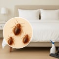 Step-By-Step Guide To Bed Bug Furniture Removal