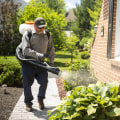 The Advantages of Being a Pest Control Expert