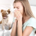 Stop Allergies and Insects at the Source with a MERV 13 Air Filter