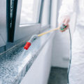 The Truth About Pest Control: Why Hiring a Professional Service is Worth It