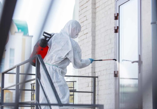The Pros and Cons of DIY Pest Control: An Expert's Perspective