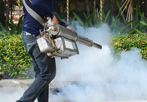 The Importance of Regular Pest Control Services: An Expert's Perspective