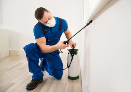 The Benefits of Hiring Professional Pest Control Services