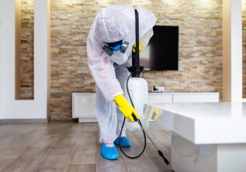 The Hidden Costs of DIY Pest Control: Why Hiring a Professional is the Smarter Choice