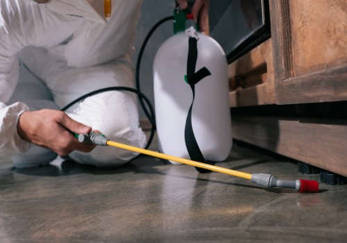 The Benefits of Professional Pest Control Services in Arizona
