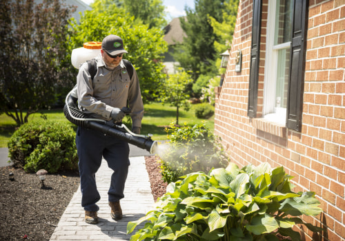 The Advantages of Being a Pest Control Expert