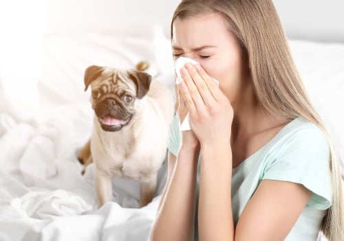 Stop Allergies and Insects at the Source with a MERV 13 Air Filter