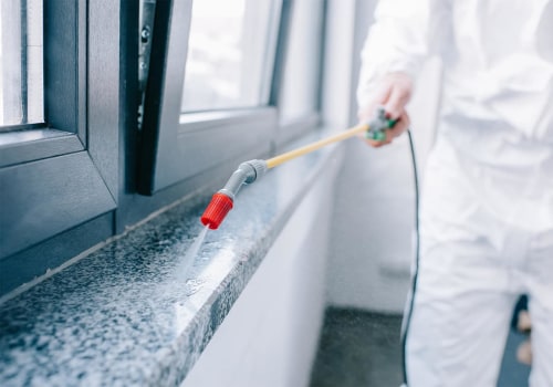 The Truth About Pest Control: Why Hiring a Professional Service is Worth It